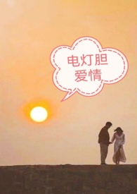 电灯胆歌曲教学