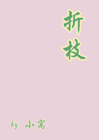 折叠屏手机